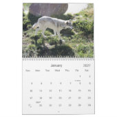 Wolf Calender 2012 Kalender (Jan 2027)