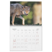 Wolf Calender Kalender (Mar 2027)