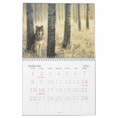 Wolf Calender Kalender (Feb 2026)