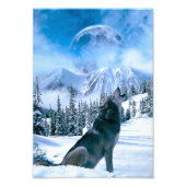 Wolf Call Foto Afdruk (Voorkant)