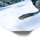 Wolf Call Foto Afdruk (Hoek)