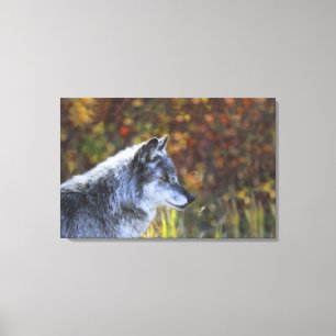 Wolf (Canis Lupus) 2 Canvas Afdruk