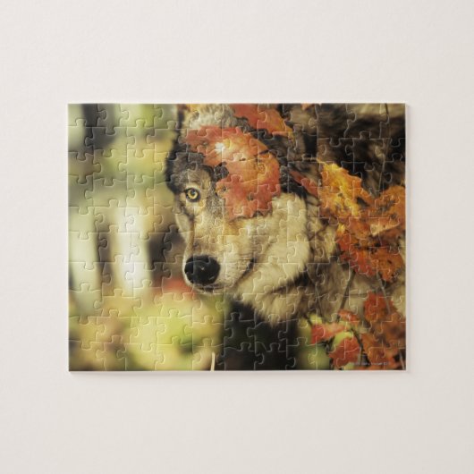 Wolf (Canis lupus) | Najaarkleur Legpuzzel (Horizontaal)