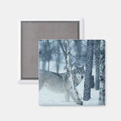 Wolf (Canis lupus) tijdens de winter Magneet (Voorkant / Achterkant)