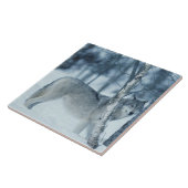 Wolf (Canis lupus) tijdens de winter Tegeltje (Zijkant)