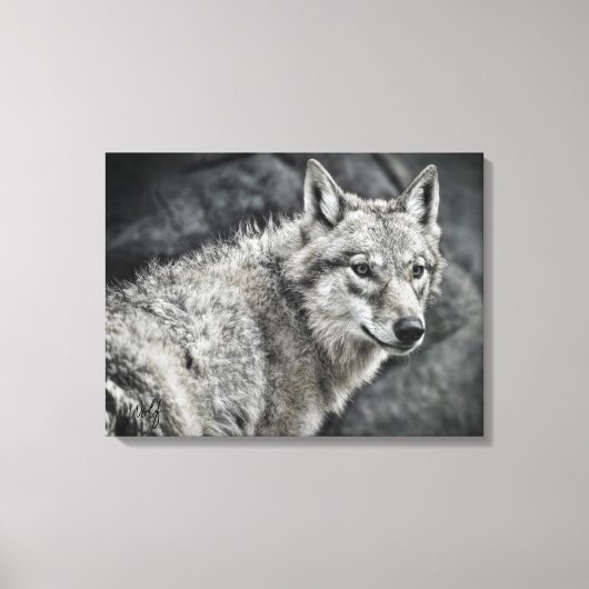WOLF：Canvas Print (Voorkant)
