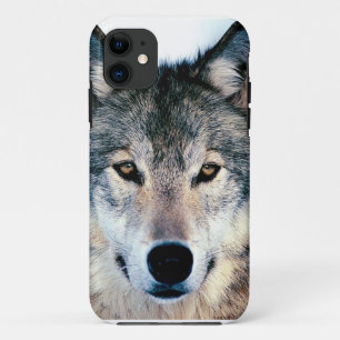 Wolf iPhone 11 Hoesje