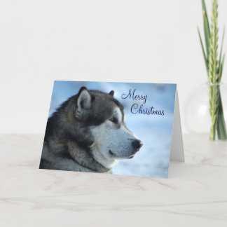 Wolf Christmas Kaart - Vrolijk kerstfeest