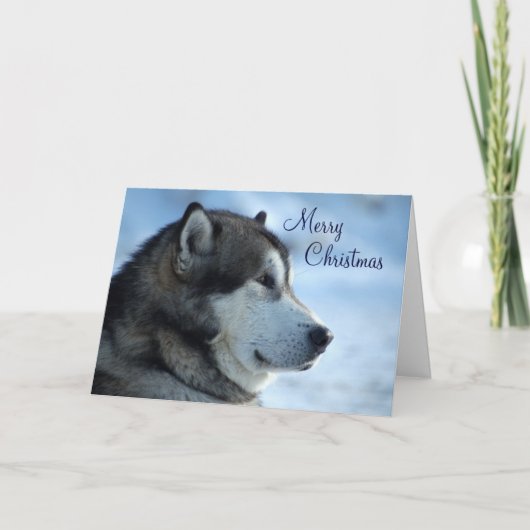 Wolf Christmas Kaart - Vrolijk kerstfeest (Voorkant)