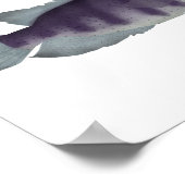 Wolf Cichlid Poster (Hoek)