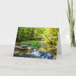 Wolf Creek Card Kaart