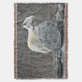 Wolf Deken (Voorkant Verticaal)