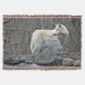 Wolf Deken (Voorkant)