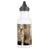 Wolf Dieren Vrede Liefde Natuur Park Wolven Bestem Waterfles (Links)