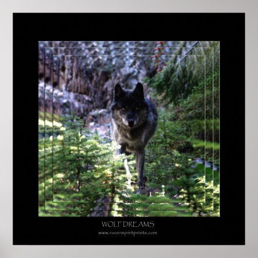 WOLF DREAMS Art Poster (Voorkant)