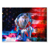 Wolf en Dreamweaver schilderen onder Amerikaanse v Foto Afdruk (Voorkant)