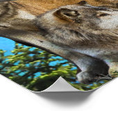 wolf en Maan Poster (Hoek)