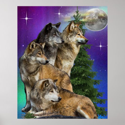 wolf en Moon Poster (Voorkant)
