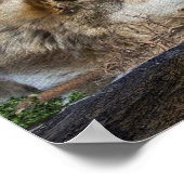 Wolf en Moon Poster (Hoek)