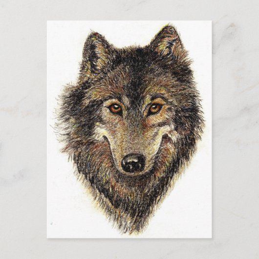 Wolf en Pack Citaat - Dierlijk Collectie Briefkaart (Voorkant)
