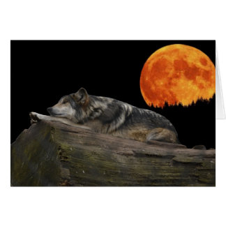 Wolf et lune mexicains