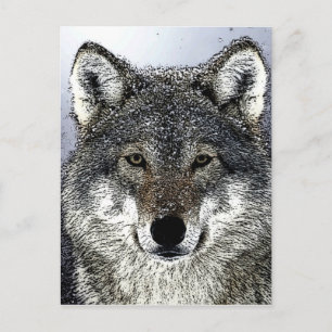 Wolf Eyes Briefkaart
