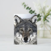 Wolf Eyes Briefkaart (Staand voorkant)