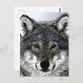 Wolf Eyes Briefkaart (Voorkant / Achterkant)