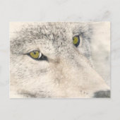 Wolf Eyes Briefkaart (Voorkant)