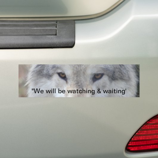 Wolf Eyes Bumpersticker (Op auto)