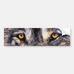 Wolf Eyes Bumpersticker