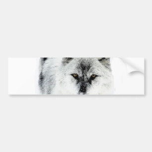 Wolf Eyes Bumpersticker
