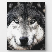 Wolf Eyes Fotoplaat (Voorkant)