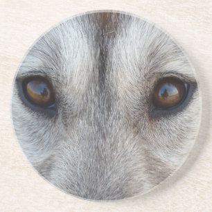Wolf Eyes Onderzetter Wolf Dog Art Onderzetter & G