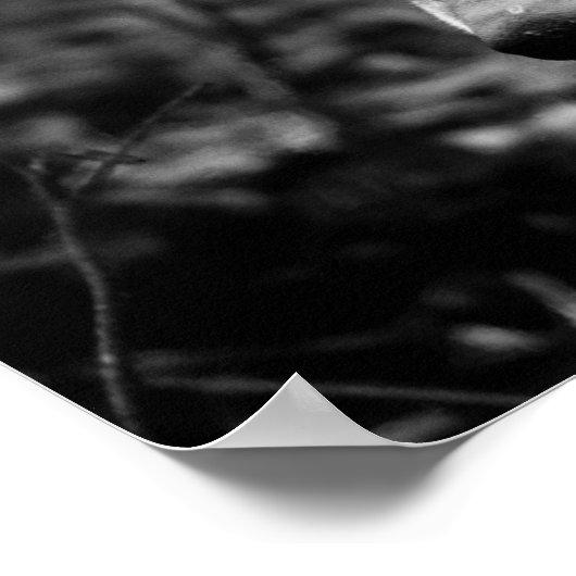 Wolf Eyes Poster (Hoek)