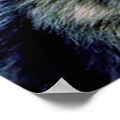 Wolf Eyes Poster (Hoek)
