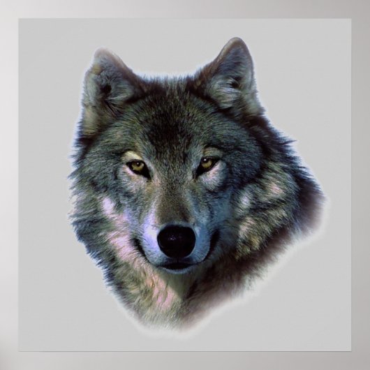 Wolf Eyes Poster Print (Voorkant)