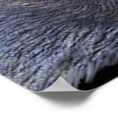 WOLF EYES Wildlife Art Poster (Coin)