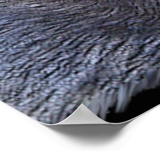 WOLF EYES Wildlife Art Poster (Coin)