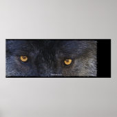 WOLF EYES Wildlife Art Poster (Devant)