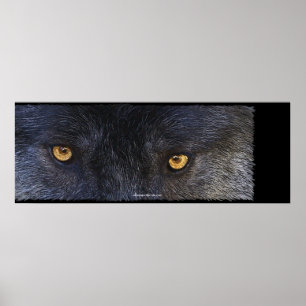 WOLF EYES Wildlife Art Poster
