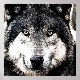 Wolf Eyes - Zwart en wit, vrij dierenwerk Poster