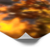 Wolf FAMILY AUTUMN Poster (Hoek)