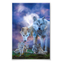 Wolf Family BETTER WERELD