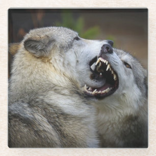 Wolf Fight Glazen Onderzetter