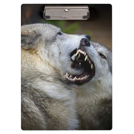 Wolf Fight Klembord (Voorkant)