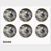 Wolf Fight Ronde Sticker (Vel)