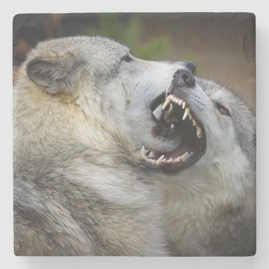 Wolf Fight Stenen Onderzetter (Voorkant)