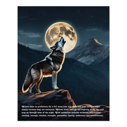 Wolf Folklore Perfect Poster (Voorkant)