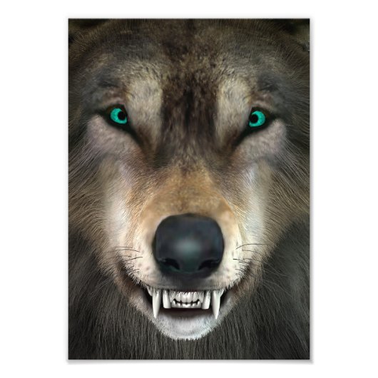 Wolf Foto Afdruk (Voorkant)